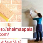 شركة صبغ في دبي