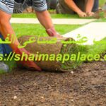 تركيب عشب صناعى الفجيرة