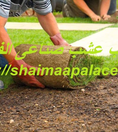 تركيب عشب صناعى الفجيرة