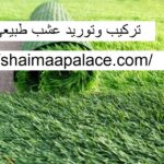 تركيب وتوريد عشب طبيعي الشارقة