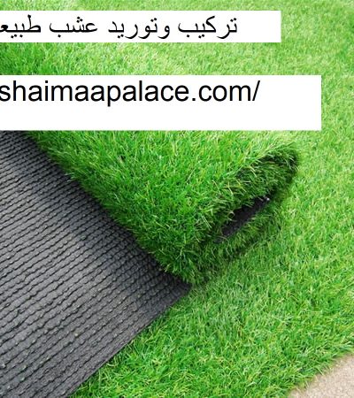 تركيب وتوريد عشب طبيعي عجمان