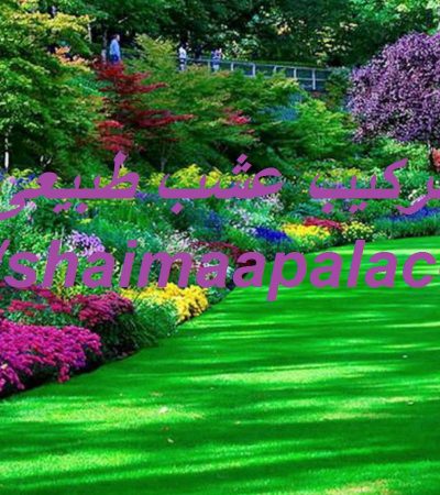 توريد وتركيب عشب طبيعى الفجيرة