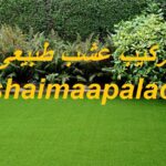 توريد وتركيب عشب طبيعى ام القيوين