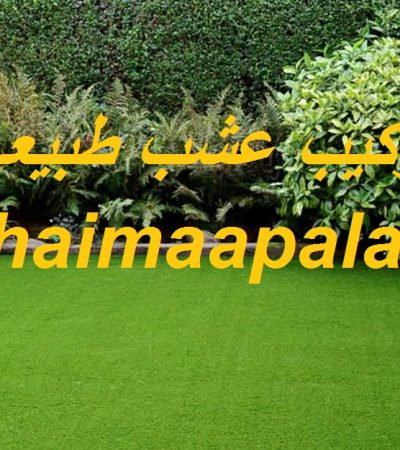 توريد وتركيب عشب طبيعى ام القيوين