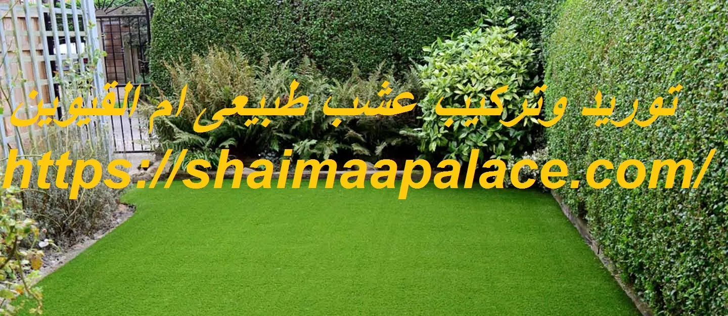 توريد وتركيب عشب طبيعى ام القيوين