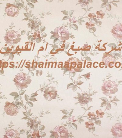 شركة صبغ في ام القيوين