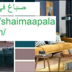 صباغ في الشارقة