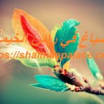 صباغ في راس الخيمة