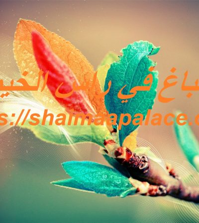 صباغ في راس الخيمة