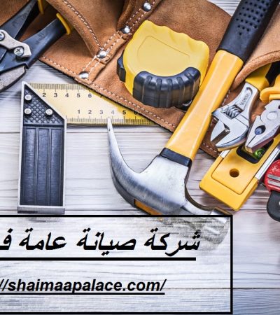 شركة صيانة عامة في دبي