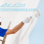 صباغ فى ابوظبي