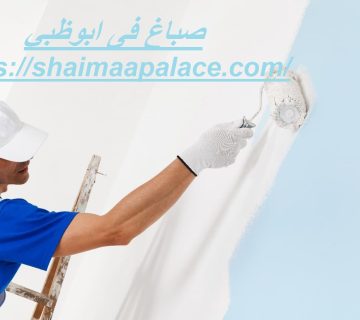 صباغ فى ابوظبي